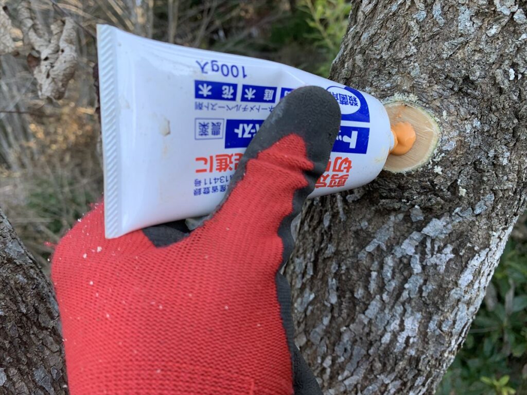 なぜペイントに白い接着剤を塗るのですか？